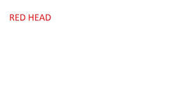 RED HEAD trademark