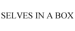 SELVES IN A BOX trademark