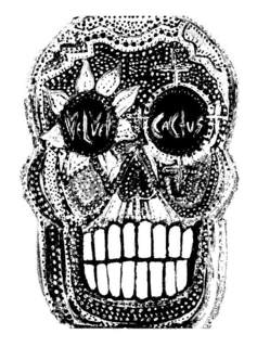 VELVET CACTUS trademark