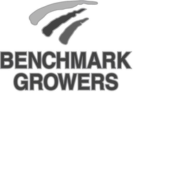 BENCHMARK GROWERS trademark