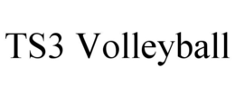 TS3 VOLLEYBALL trademark