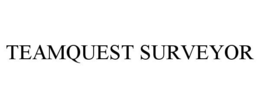 TEAMQUEST SURVEYOR trademark