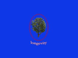 LONGEVITY trademark
