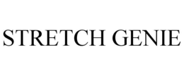 STRETCH GENIE trademark