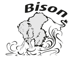 BISON trademark