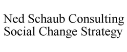 NED SCHAUB CONSULTING SOCIAL CHANGE STRATEGY trademark