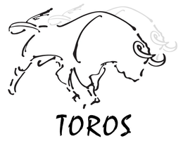 TOROS trademark