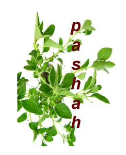 PASHAH trademark