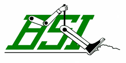 BSI trademark