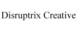 DISRUPTRIX CREATIVE trademark