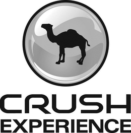 CRUSH EXPERIENCE trademark