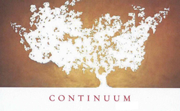 CONTINUUM trademark
