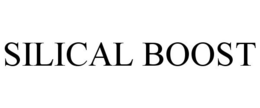 SILICAL BOOST trademark