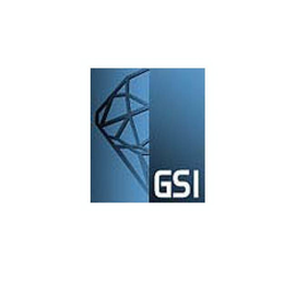GSI trademark