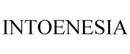 INTOENESIA trademark