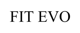 FIT EVO trademark