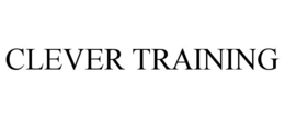 CLEVER TRAINING trademark