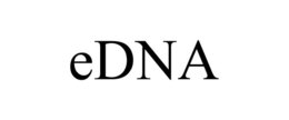 EDNA trademark