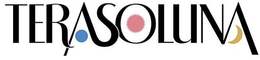 TERASOLUNA trademark