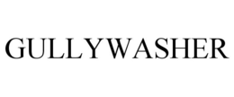 GULLYWASHER trademark