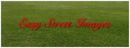 EASY STREET IMAGES trademark