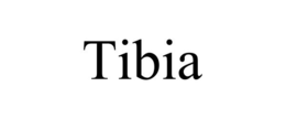 TIBIA trademark