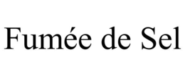 FUMÉE DE SEL trademark