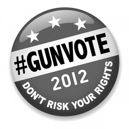 #GUNVOTE 2012 DON'T RISK YOUR RIGHTS trademark