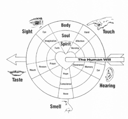 BODY SOUL SPIRIT TOUCH HAND AFFECTION WORSHIP HEARING EAR MEMORY REVERENCE SMELL NOSE CONSCIENCE HOPE TASTE MOUTH REASON PRAYER SIGHT EYE IMAGINATION FAITH THE HUMAN WILL trademark