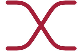 X trademark