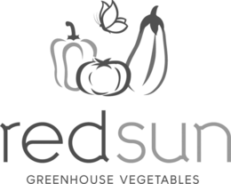 RED SUN GREENHOUSE VEGETABLES trademark