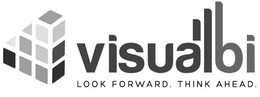 VISUALBI LOOK FORWARD. THINK AHEAD. trademark