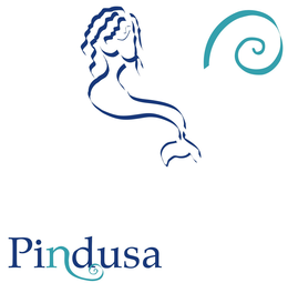 PINDUSA trademark
