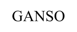 GANSO trademark