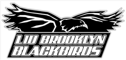 LIU BROOKLYN BLACKBIRDS trademark