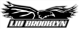 LIU BROOKLYN trademark