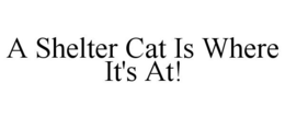 A SHELTER CAT IS WHERE IT'S AT! trademark