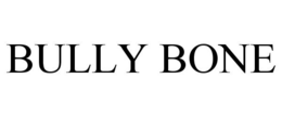 BULLY BONE trademark
