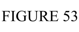 FIGURE 53 trademark