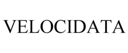 VELOCIDATA trademark