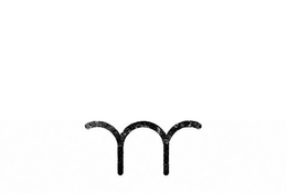 W trademark