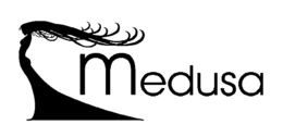 MEDUSA trademark
