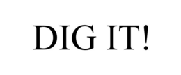 DIG IT! trademark