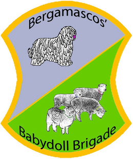BERGAMASCOS' BABYDOLL BRIGADE trademark