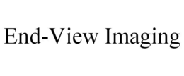 END-VIEW IMAGING trademark