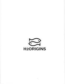 H2ORIGINS trademark
