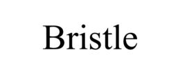 BRISTLE trademark