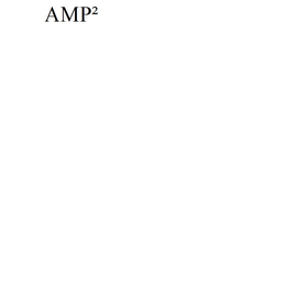 AMP2 trademark