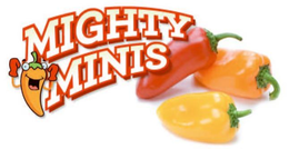 MIGHTY MINIS trademark