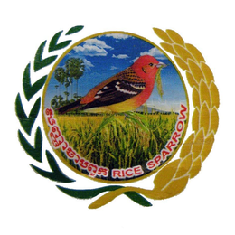 RICE SPARROW trademark